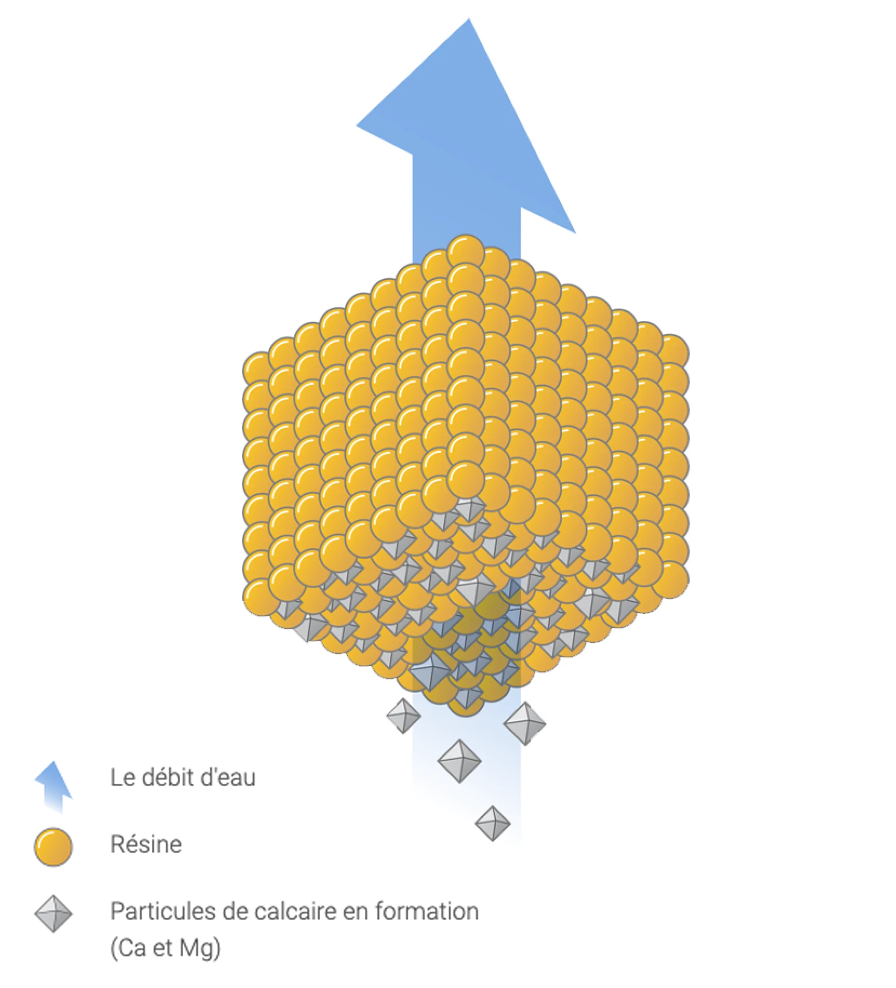 Diagramme d’un processus d’adoucissement de l’eau de l’adoucisseur d’eau Minimax avec un cube orange représentant des billes de résine et la formation de particules de calcium (Ca et Mg).